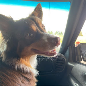 Meet your Posher, Kimmy